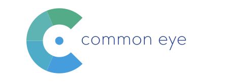 https://commoneye.nl